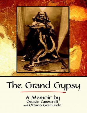 Cover of the book The Grand Gypsy: A Memoir by Dr. Rowena Shaw, PhD