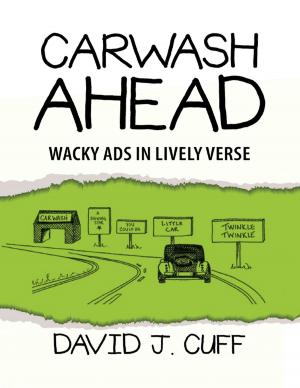 Cover of the book Carwash Ahead: Wacky Ads In Lively Verse by Keith Shein