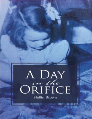 bigCover of the book A Day In the Orifice by 
