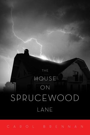 Cover of the book The House On Sprucewood Lane by Samantha Silver