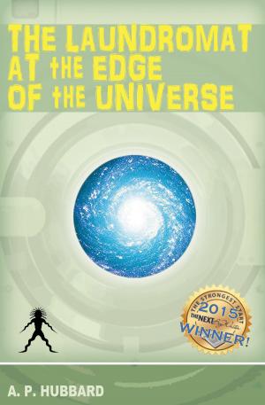 Book cover of The Laundromat at the Edge of the Universe