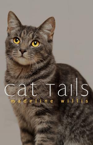 Cover of the book Cat Tails by Julia Wilkinson