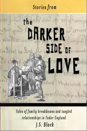 Cover of the book Stories from the Darker Side of Love by Edelstein Productions LLC