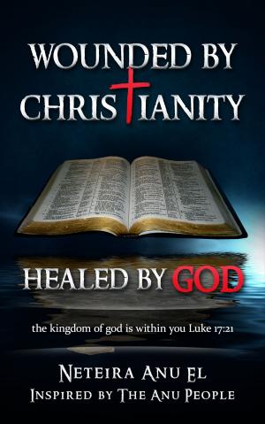 Cover of the book Wounded By Christianity by Chad Pannucci