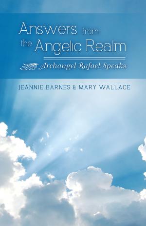 Cover of the book Answers from the Angelic Realm by Sheila Burke