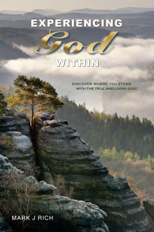 Cover of the book Experiencing God Within by Brittney Jones