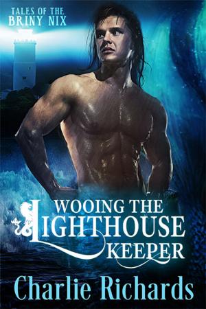 Cover of the book Wooing the Lighthouse Keeper by A.J. Llewellyn, D.J. Manly