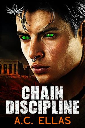 bigCover of the book Chain Discipline by 
