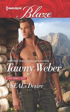 bigCover of the book A SEAL's Desire by 