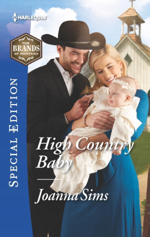 Book cover of High Country Baby