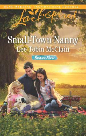 Cover of the book Small-Town Nanny by Patricia Davids, Lee Tobin McClain, Jolene Navarro