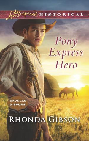 bigCover of the book Pony Express Hero by 