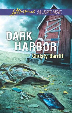 Cover of the book Dark Harbor by Jillian Burns