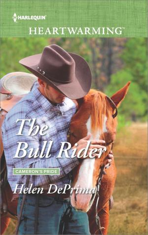 Book cover of The Bull Rider