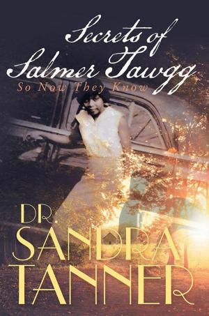 Book cover of Secrets of Salmer Tawgg