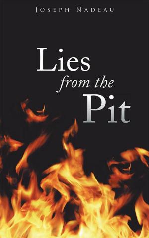 Cover of the book Lies from the Pit by D.J. Long