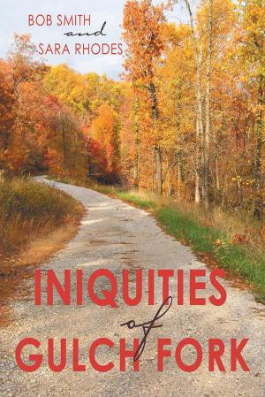 Cover of the book Iniquities of Gulch Fork by L. Joseph Martini