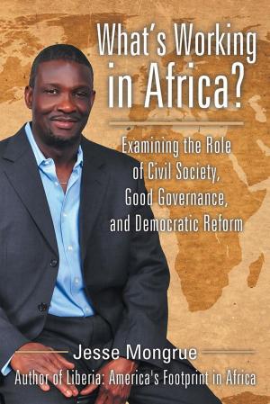 bigCover of the book What’S Working in Africa? by 