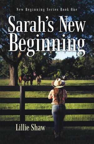Cover of the book Sarah's New Beginning by Walter Bazley