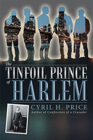 Cover of the book The Tinfoil Prince of Harlem by David Turnoy