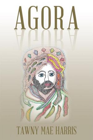 bigCover of the book Agora by 
