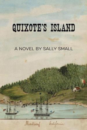 Book cover of Quixote’S Island