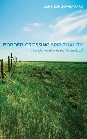Book cover of Border-Crossing Spirituality