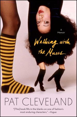Cover of the book Walking with the Muses by Stephen McCauley