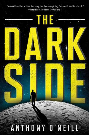 Cover of the book The Dark Side by Robert Buderi, Gregory T. Huang
