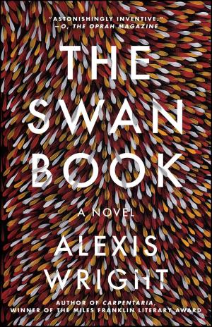 bigCover of the book The Swan Book by 