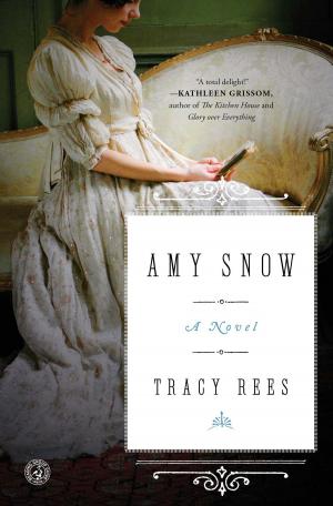 Book cover of Amy Snow