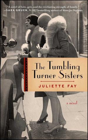 Cover of the book The Tumbling Turner Sisters by Hank Moody