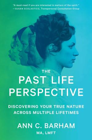 Cover of the book The Past Life Perspective by Chiquis Rivera