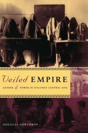 Cover of the book Veiled Empire by Seth Bernstein