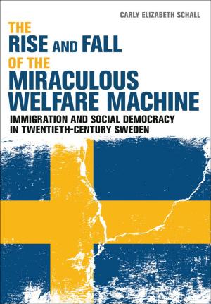 Cover of the book The Rise and Fall of the Miraculous Welfare Machine by J. L. Schellenberg