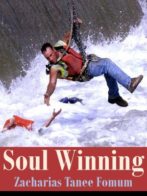 Book cover of Soul-Winning (Volume One)