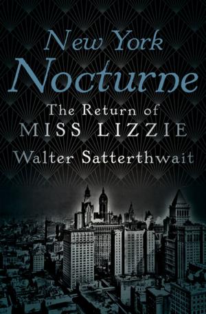 Cover of the book New York Nocturne by RB Pahl