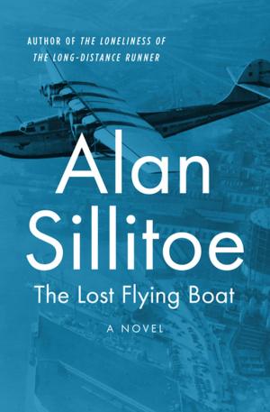 Book cover of The Lost Flying Boat