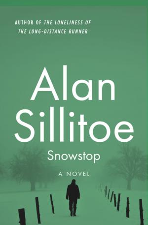 Cover of the book Snowstop by Alan Ahrens-McManus