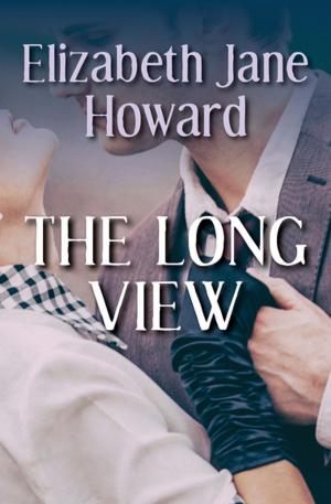Cover of the book The Long View by Rosamond Lehmann
