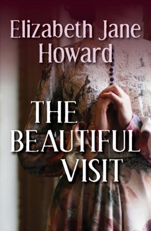 Cover of the book The Beautiful Visit by Deborah Gregory