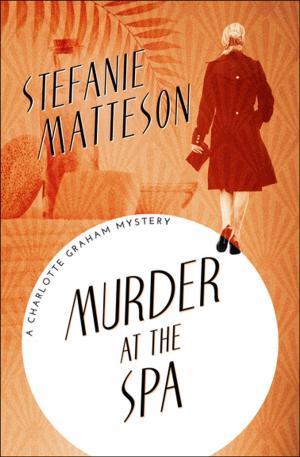 Cover of the book Murder at the Spa by Ellen Seltz