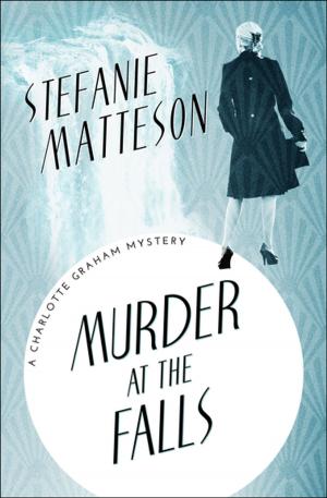 Cover of the book Murder at the Falls by Mary Clay