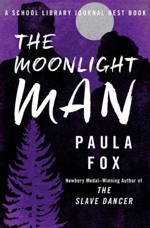 Cover of the book The Moonlight Man by Ron Fry