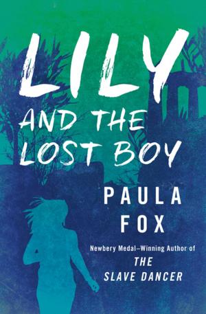 Book cover of Lily and the Lost Boy