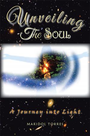 Cover of the book Unveiling the Soul by Karen Elizabeth Russell