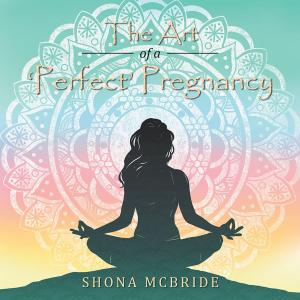 Cover of the book The Art of a ‘Perfect’ Pregnancy by Shalini Kumburegedara