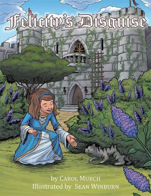 Cover of the book Felicity's Disguise by Marie Powers