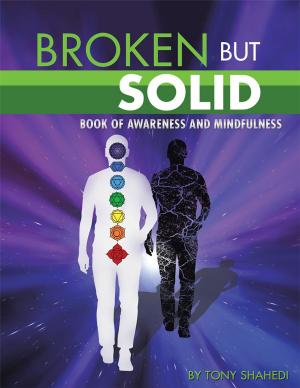 Cover of the book Broken but Solid by Charlotte Thomas March