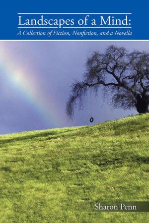Cover of the book Landscapes of a Mind: by Dave Markowitz